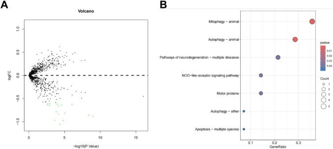 https://cdn.ncbi.nlm.nih.gov/pmc/blobs/68f4/12149258/7981899c4b36/431_2025_6213_Fig1_HTML.jpg