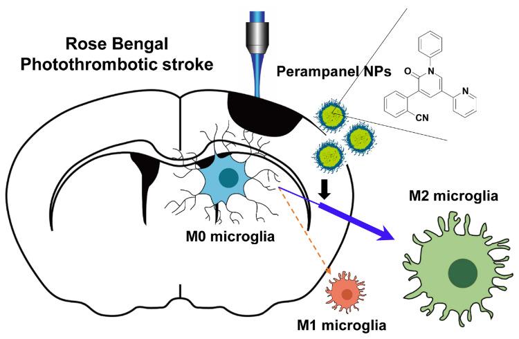 https://cdn.ncbi.nlm.nih.gov/pmc/blobs/68f8/9248959/7f246c197ad8/IJN-17-2791-g0001.jpg