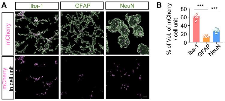 https://cdn.ncbi.nlm.nih.gov/pmc/blobs/68f8/9248959/b6aa52caaba6/IJN-17-2791-g0003.jpg