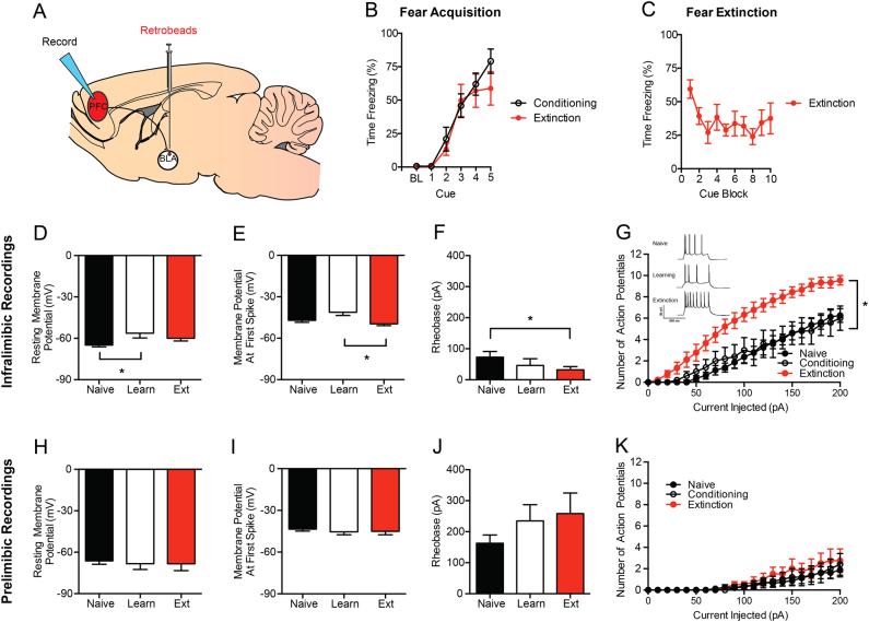 https://cdn.ncbi.nlm.nih.gov/pmc/blobs/68f9/5838104/8bff62203dda/41398_2018_106_Fig2_HTML.jpg