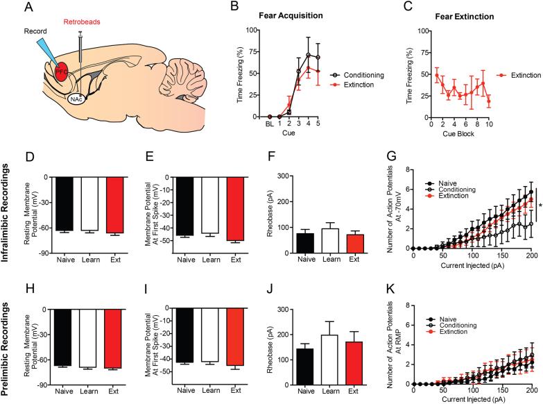 https://cdn.ncbi.nlm.nih.gov/pmc/blobs/68f9/5838104/9097038e8d00/41398_2018_106_Fig3_HTML.jpg