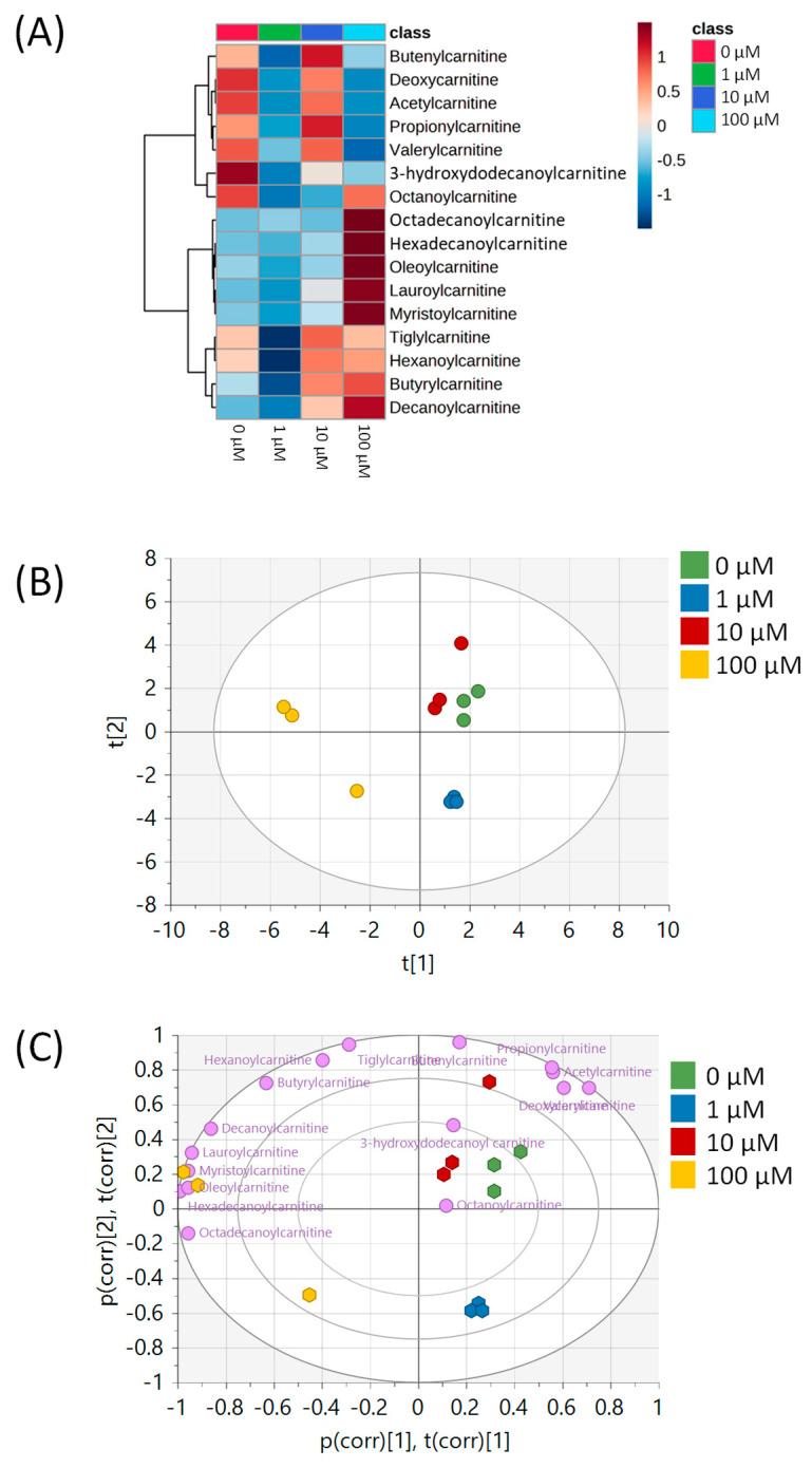 https://cdn.ncbi.nlm.nih.gov/pmc/blobs/68fa/12029535/ea7570c051cd/metabolites-15-00250-g003.jpg