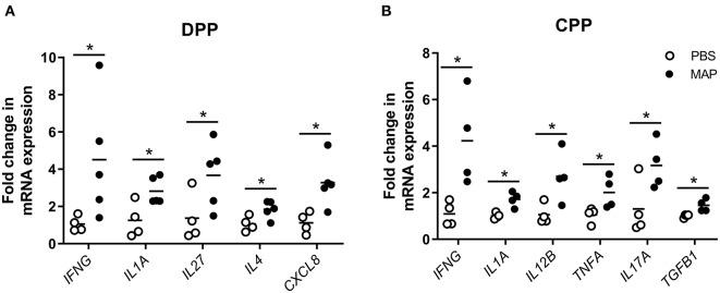 https://cdn.ncbi.nlm.nih.gov/pmc/blobs/68fc/7272674/0e357cf37a05/fimmu-11-01020-g0006.jpg