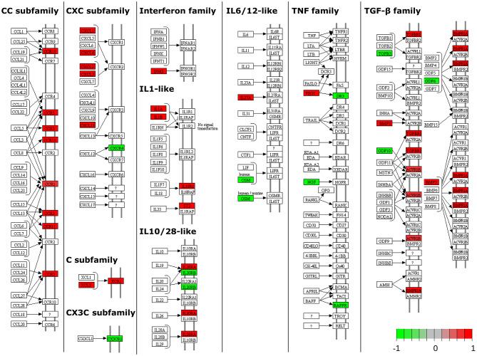 https://cdn.ncbi.nlm.nih.gov/pmc/blobs/68fc/7272674/568fc25a4e97/fimmu-11-01020-g0004.jpg