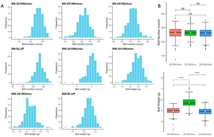 https://cdn.ncbi.nlm.nih.gov/pmc/blobs/68fd/11353353/4da466fff861/genes-15-01032-g001.jpg