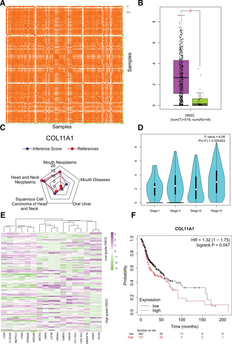 https://cdn.ncbi.nlm.nih.gov/pmc/blobs/68fd/9542892/7d3a6e10acd6/medi-101-e30989-g001.jpg