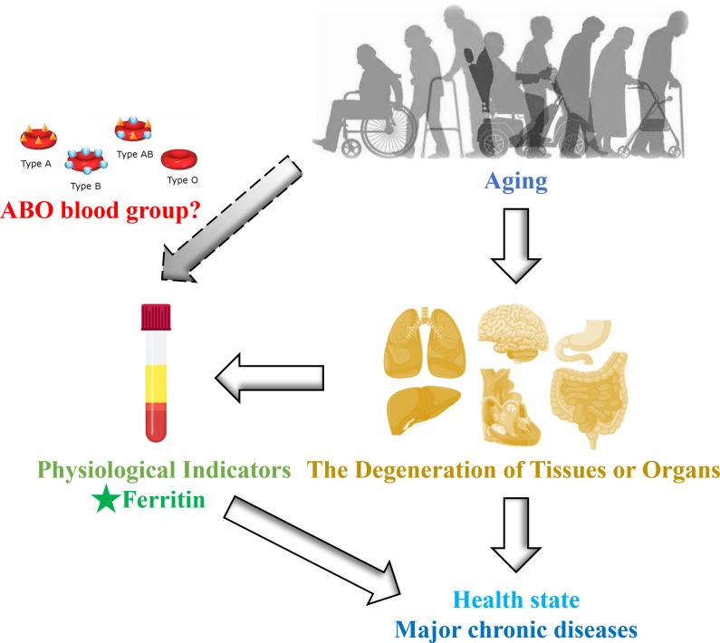 https://cdn.ncbi.nlm.nih.gov/pmc/blobs/68fe/12005183/4515dd69e0b3/peerj-13-19281-g001.jpg