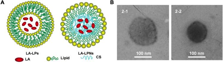 https://cdn.ncbi.nlm.nih.gov/pmc/blobs/6900/10475288/0d3293758610/DDDT-17-2639-g0005.jpg