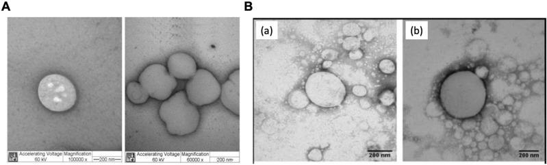 https://cdn.ncbi.nlm.nih.gov/pmc/blobs/6900/10475288/e4a553e22480/DDDT-17-2639-g0003.jpg
