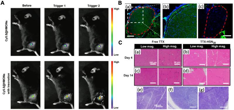 https://cdn.ncbi.nlm.nih.gov/pmc/blobs/6900/10475288/fc959b33ef2c/DDDT-17-2639-g0004.jpg