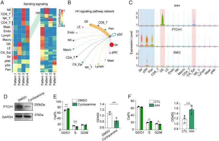 https://cdn.ncbi.nlm.nih.gov/pmc/blobs/6901/8872762/4efff98d6850/pnas.2115912119fig06.jpg
