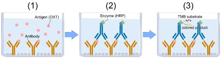 https://cdn.ncbi.nlm.nih.gov/pmc/blobs/6902/12025206/487f4bd2b74a/biosensors-15-00261-g001.jpg