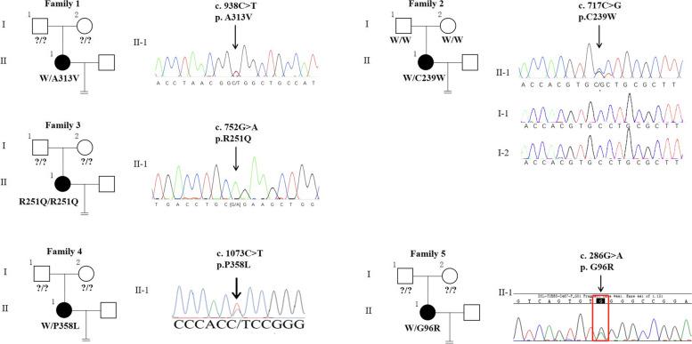 https://cdn.ncbi.nlm.nih.gov/pmc/blobs/6904/8969352/0338aee99c94/13048_2022_971_Fig1_HTML.jpg