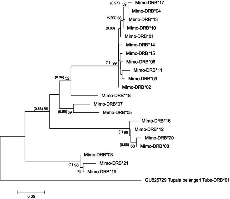 https://cdn.ncbi.nlm.nih.gov/pmc/blobs/6905/3686191/61824cb3b6f6/ece30003-1552-f1.jpg