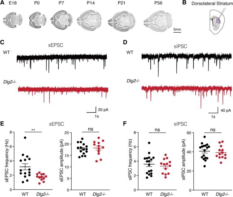 https://cdn.ncbi.nlm.nih.gov/pmc/blobs/6907/7069029/7c0b303fb381/13229_2020_324_Fig5_HTML.jpg
