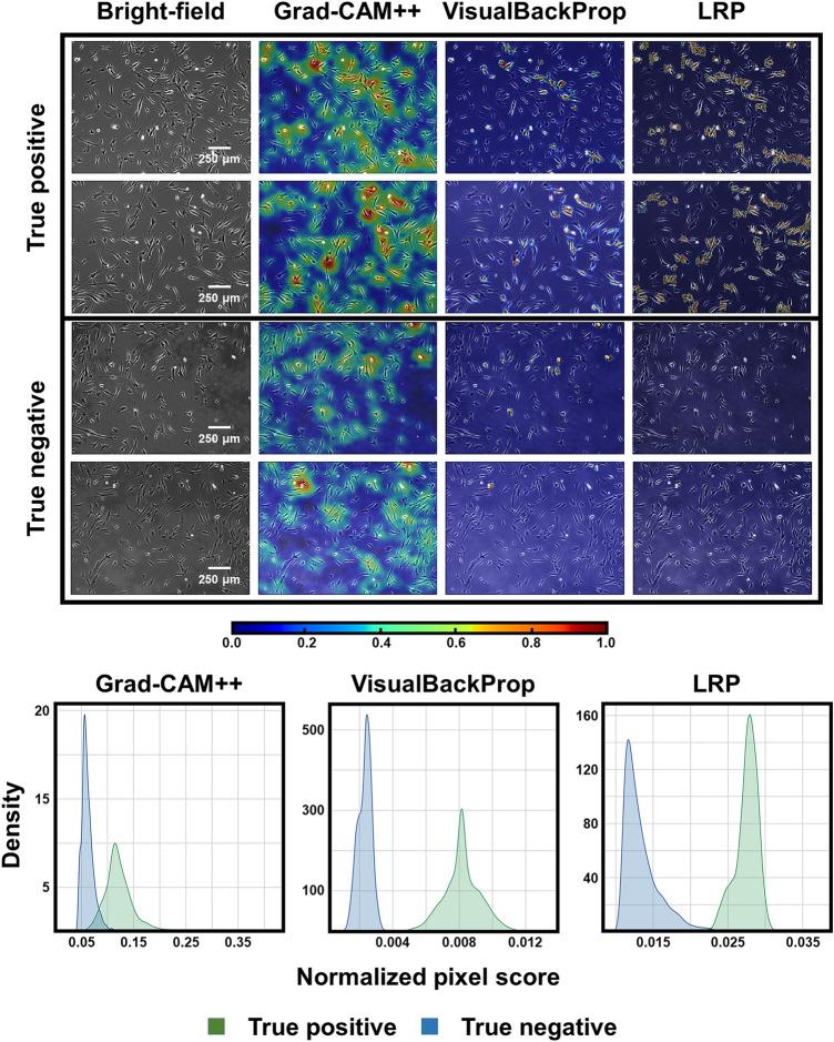 https://cdn.ncbi.nlm.nih.gov/pmc/blobs/6907/9584889/2309cc339aa0/41598_2022_21653_Fig5_HTML.jpg