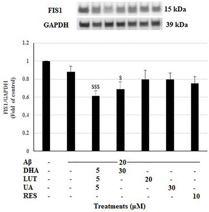 https://cdn.ncbi.nlm.nih.gov/pmc/blobs/690a/8899513/766f68ca2c2b/fnagi-13-781468-g005.jpg