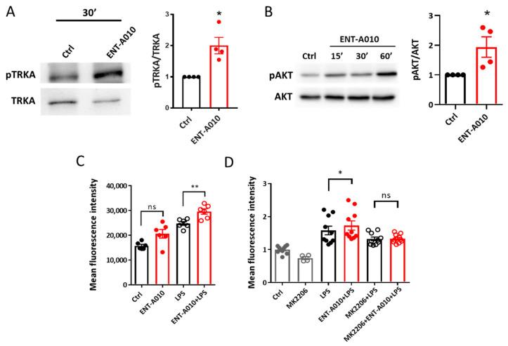 https://cdn.ncbi.nlm.nih.gov/pmc/blobs/690c/8946810/0e8a67d64ace/biomolecules-12-00424-g006.jpg