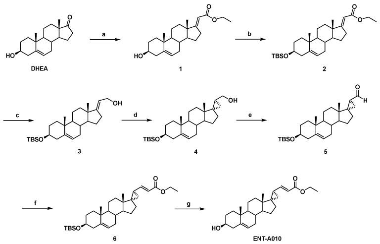 https://cdn.ncbi.nlm.nih.gov/pmc/blobs/690c/8946810/8c18707b4b9a/biomolecules-12-00424-g001.jpg
