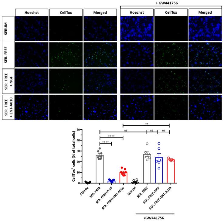 https://cdn.ncbi.nlm.nih.gov/pmc/blobs/690c/8946810/98c13d3a1726/biomolecules-12-00424-g003.jpg