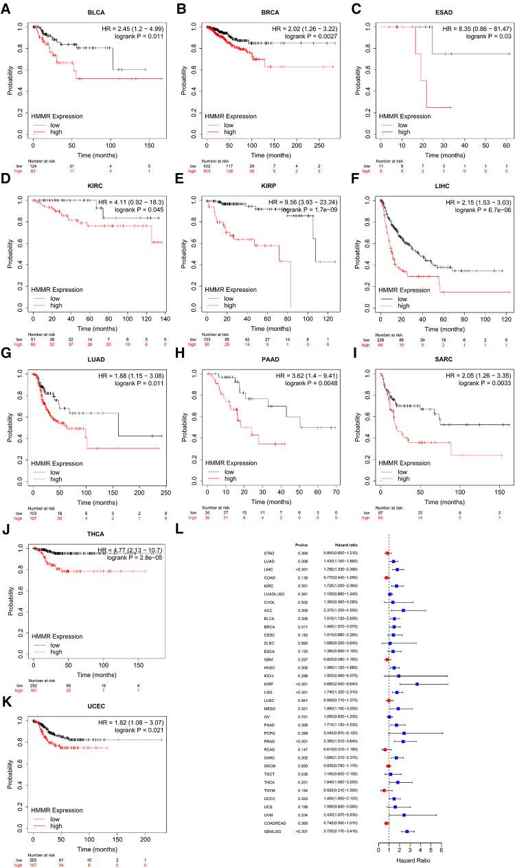 https://cdn.ncbi.nlm.nih.gov/pmc/blobs/690f/9873350/632fcc54bd56/fsurg-09-998598-g003.jpg