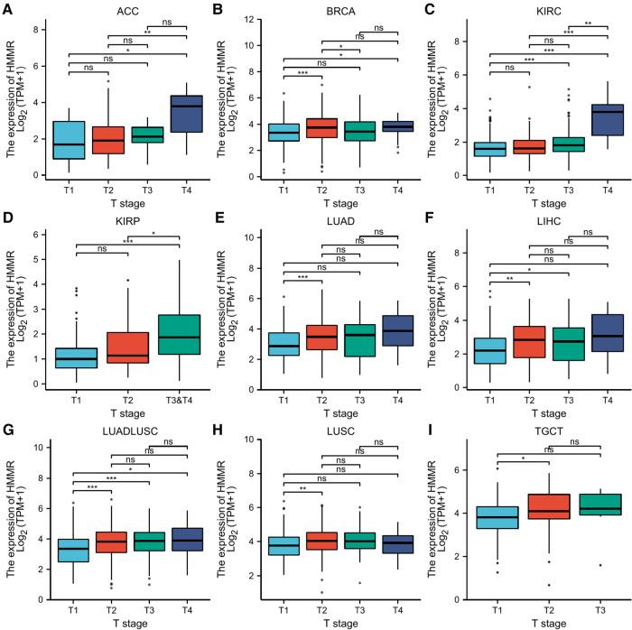 https://cdn.ncbi.nlm.nih.gov/pmc/blobs/690f/9873350/9a01b255736d/fsurg-09-998598-g005.jpg