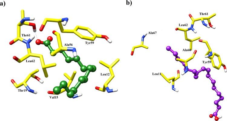 https://cdn.ncbi.nlm.nih.gov/pmc/blobs/6914/6411740/dbf9e16d614a/41598_2019_40574_Fig8_HTML.jpg