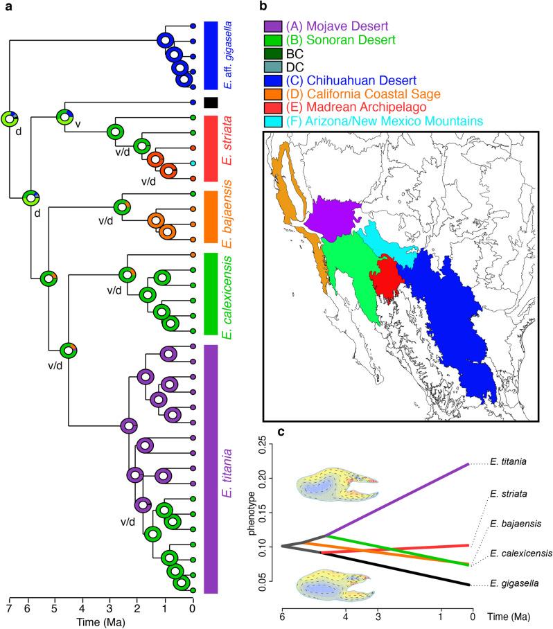 https://cdn.ncbi.nlm.nih.gov/pmc/blobs/6915/8586242/b2fa7b79225c/41598_2021_1555_Fig2_HTML.jpg