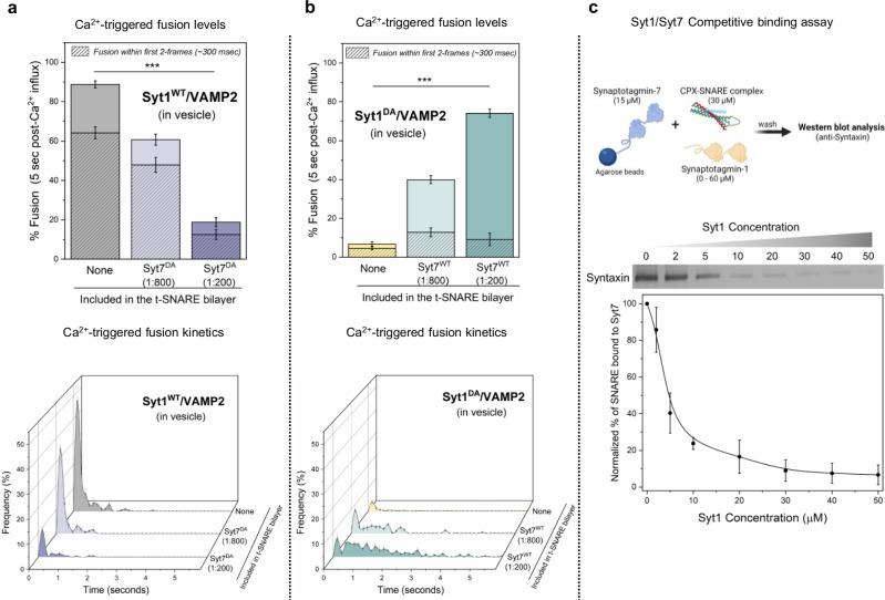 https://cdn.ncbi.nlm.nih.gov/pmc/blobs/6919/11685451/d34b9fd68e03/41467_2024_54960_Fig3_HTML.jpg