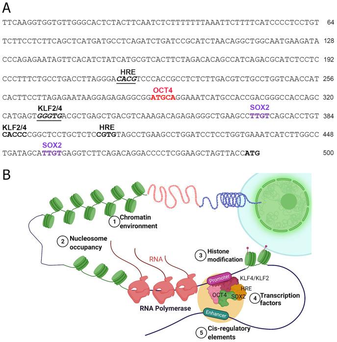 https://cdn.ncbi.nlm.nih.gov/pmc/blobs/691b/9271274/a1d551363f26/peerj-10-13651-g002.jpg