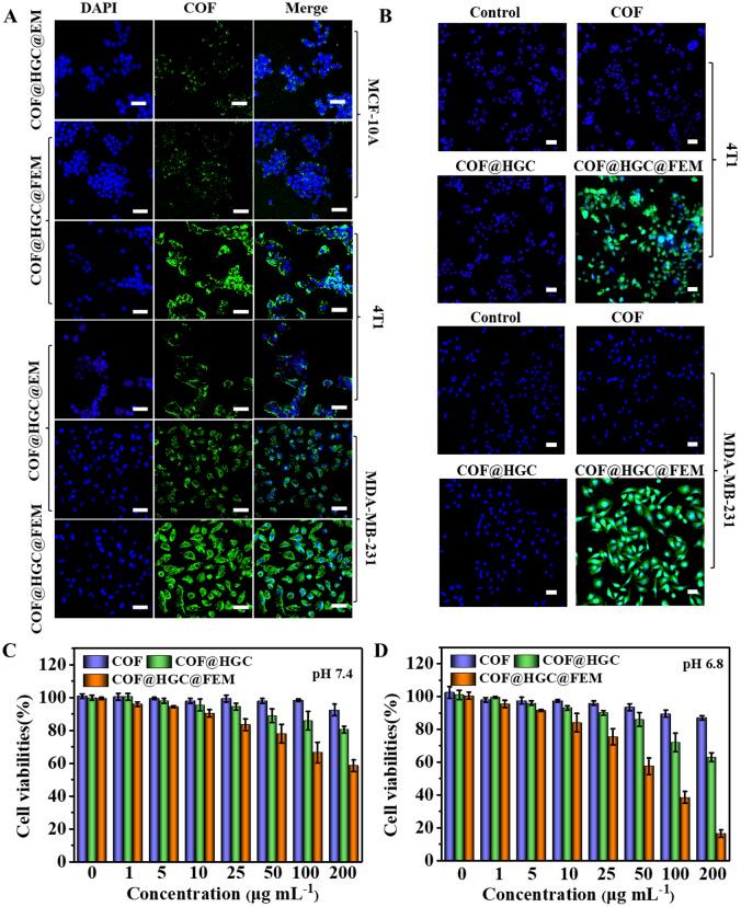 https://cdn.ncbi.nlm.nih.gov/pmc/blobs/691c/10717584/3cb9f014f92e/d3sc02022c-f3.jpg