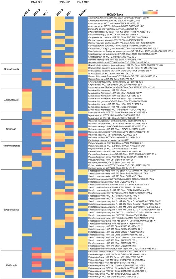https://cdn.ncbi.nlm.nih.gov/pmc/blobs/691c/3293899/deedb3be1d87/pone.0032219.g006.jpg