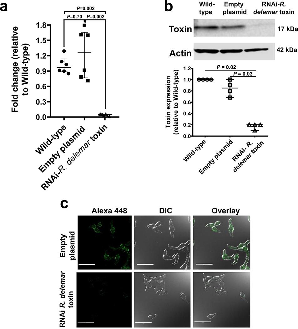 https://cdn.ncbi.nlm.nih.gov/pmc/blobs/691f/7914224/318f40035b6a/nihms-1648782-f0009.jpg