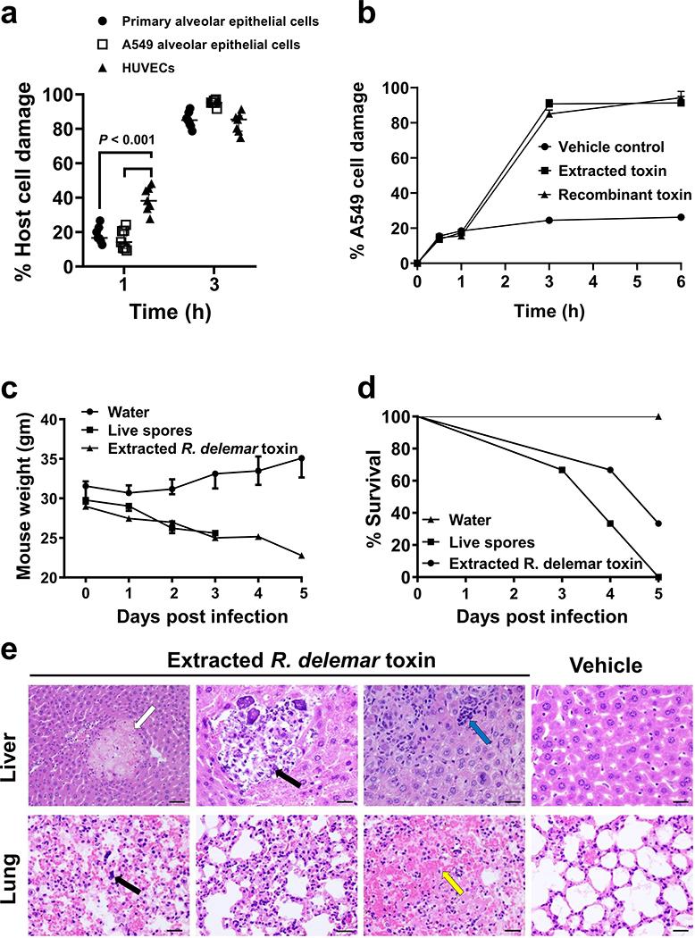 https://cdn.ncbi.nlm.nih.gov/pmc/blobs/691f/7914224/beffea1e908d/nihms-1648782-f0001.jpg