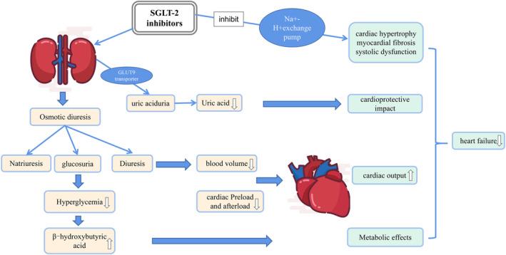 https://cdn.ncbi.nlm.nih.gov/pmc/blobs/6920/10895687/773d330cc0c3/PRP2-12-e1177-g002.jpg