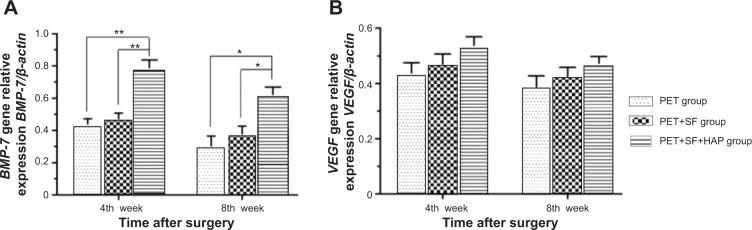 https://cdn.ncbi.nlm.nih.gov/pmc/blobs/6921/4189703/f0b6567bfbc2/ijn-9-4569Fig9.jpg