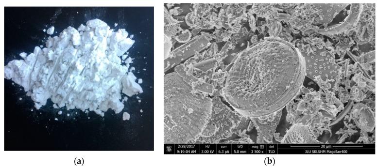 https://cdn.ncbi.nlm.nih.gov/pmc/blobs/6921/6318756/07f63fd6c034/materials-11-02400-g002.jpg