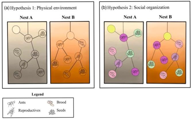 https://cdn.ncbi.nlm.nih.gov/pmc/blobs/6924/11921602/3ff3bc96e5c1/42523_2025_390_Fig1_HTML.jpg