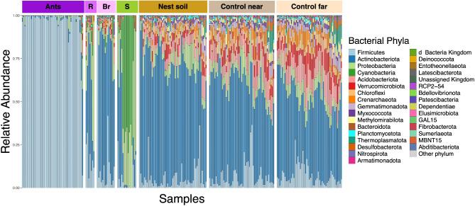 https://cdn.ncbi.nlm.nih.gov/pmc/blobs/6924/11921602/a2fae4d954c1/42523_2025_390_Fig3_HTML.jpg