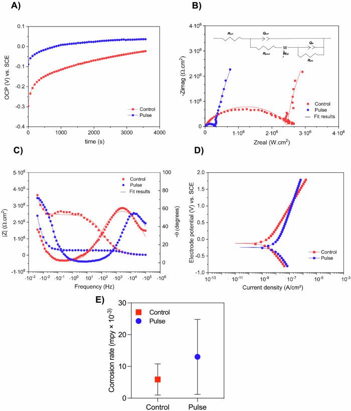 https://cdn.ncbi.nlm.nih.gov/pmc/blobs/6927/11865433/45c80aa1c619/41522_2025_667_Fig2_HTML.jpg