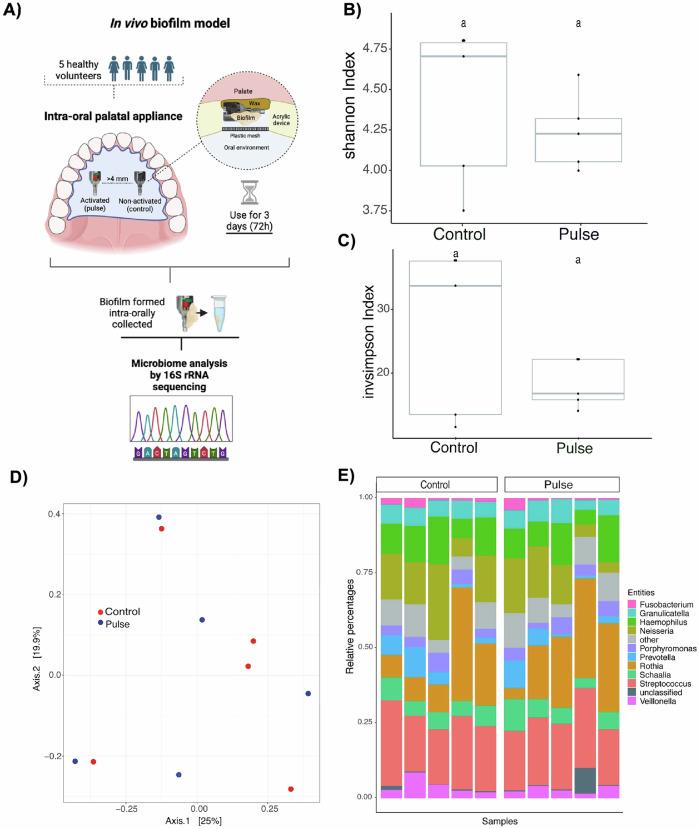 https://cdn.ncbi.nlm.nih.gov/pmc/blobs/6927/11865433/94eadb6dc055/41522_2025_667_Fig5_HTML.jpg