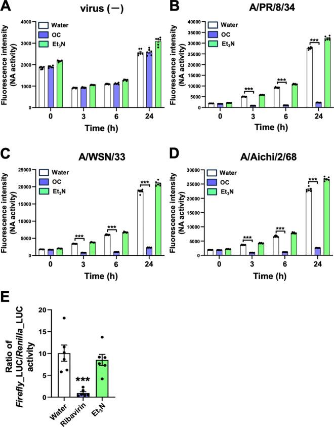 https://cdn.ncbi.nlm.nih.gov/pmc/blobs/6928/12331046/318410a85f38/pone.0329964.g006.jpg