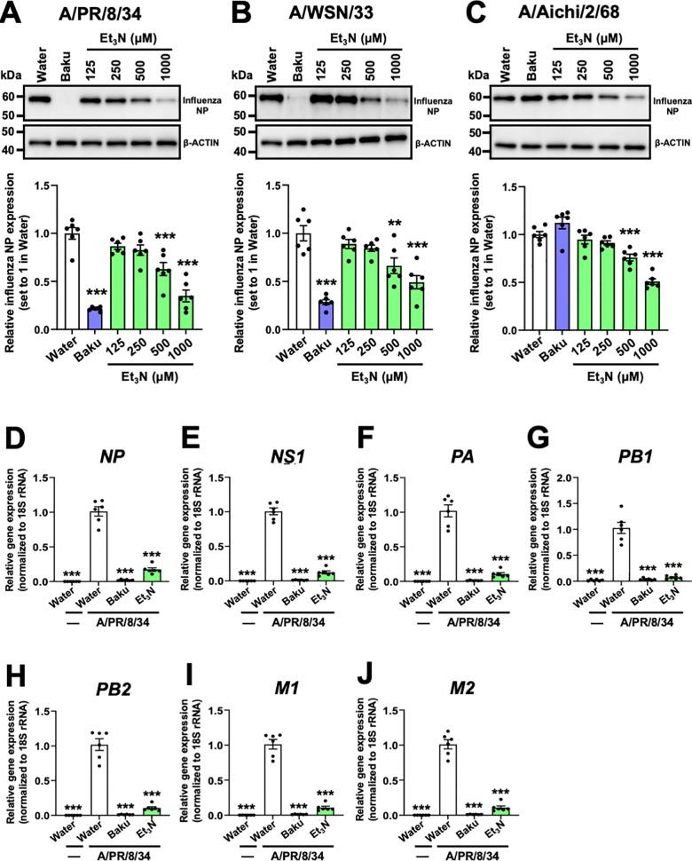 https://cdn.ncbi.nlm.nih.gov/pmc/blobs/6928/12331046/493778d460c5/pone.0329964.g003.jpg