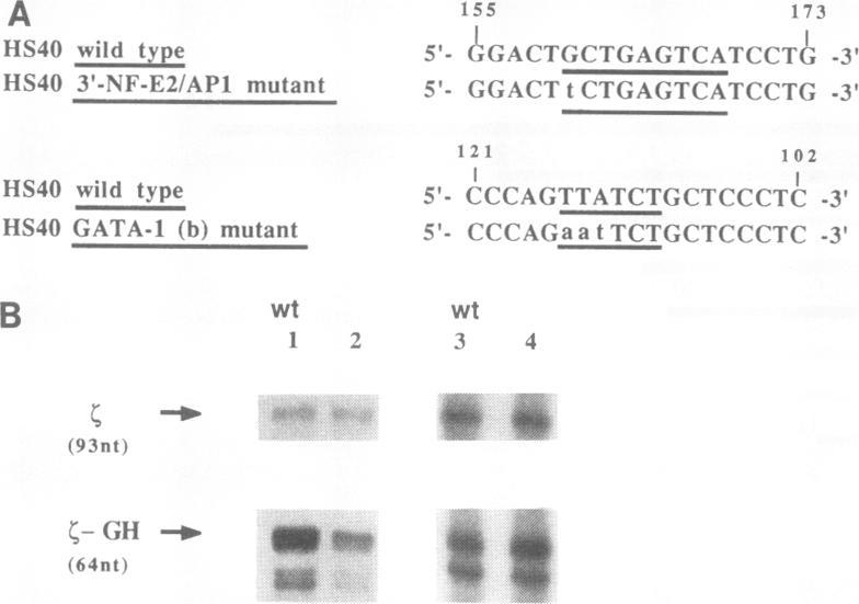 https://cdn.ncbi.nlm.nih.gov/pmc/blobs/6929/359550/f22f3fffb7d8/molcellb00016-0336-a.jpg