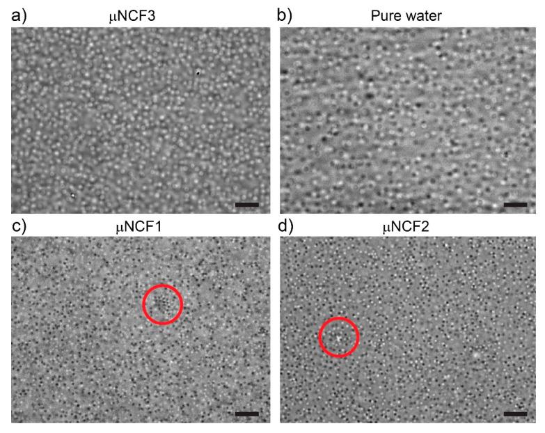 https://cdn.ncbi.nlm.nih.gov/pmc/blobs/692b/12192406/d29b7a07f7ec/gels-11-00382-g002.jpg