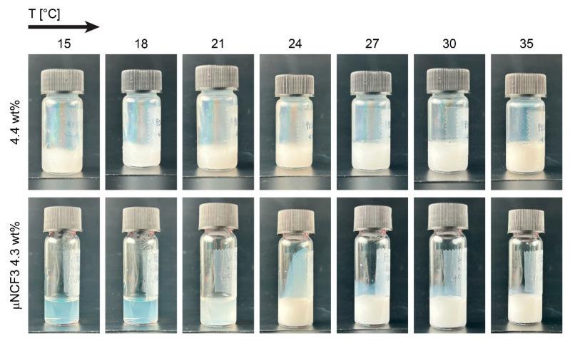 https://cdn.ncbi.nlm.nih.gov/pmc/blobs/692b/12192406/dc02abaf7f30/gels-11-00382-g003.jpg