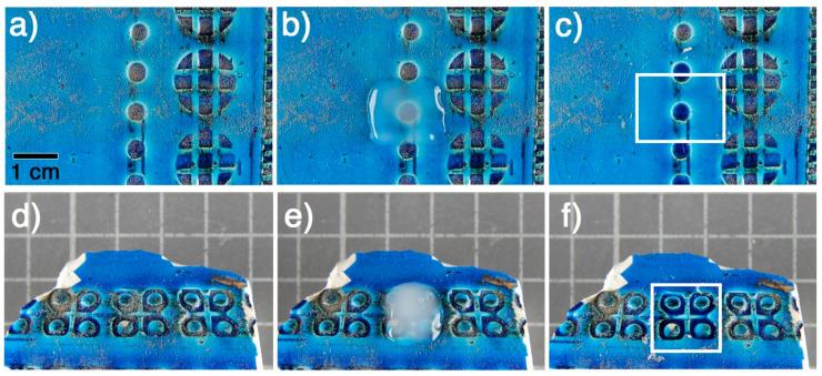 https://cdn.ncbi.nlm.nih.gov/pmc/blobs/692b/12192406/dc7b5864fea8/gels-11-00382-g006.jpg