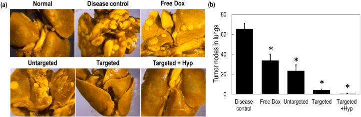 https://cdn.ncbi.nlm.nih.gov/pmc/blobs/692c/10149900/b726b09d09bf/gr11.jpg