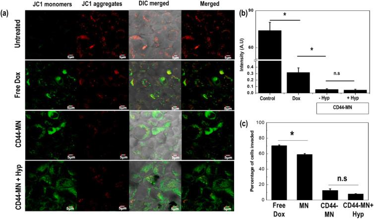 https://cdn.ncbi.nlm.nih.gov/pmc/blobs/692c/10149900/cc4d03cdb12f/gr6.jpg