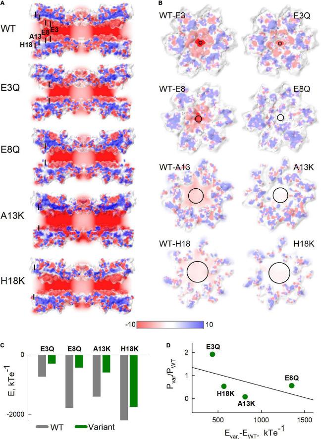 https://cdn.ncbi.nlm.nih.gov/pmc/blobs/692c/8899287/12f210e7a5d9/fphys-13-839223-g006.jpg